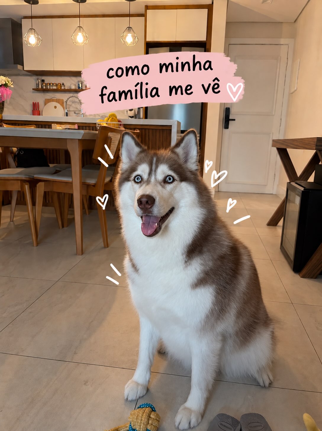 Paçoca entrou nessa trend!!! 
E ai, qual você acha que é a personalidade que mais combina com ela?! 😍♥️
#PE...