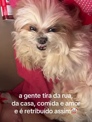 do nada ela odeia a gente