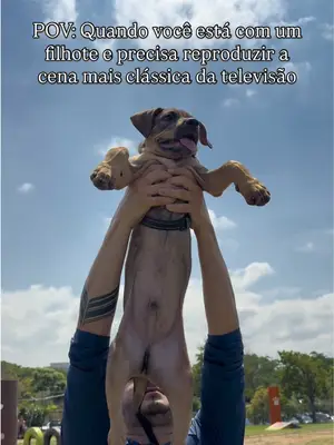 ADOTE O ATLAS 🦁🐕 4 meses | castrado | vacinado O Atlas foi resgatado com seus irmãos das ruas da Zona Leste de...