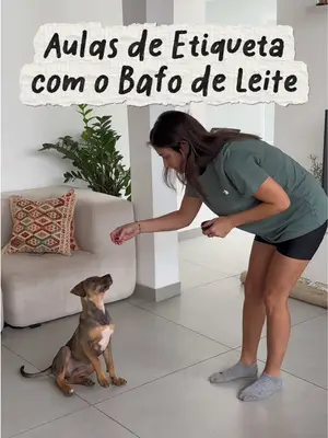 Ensinando o Atlas a dar a patinha 😍🐕 Quem aí sabe fazer isso? É muito fácil!!!!  Comenta aqui se você quer ...