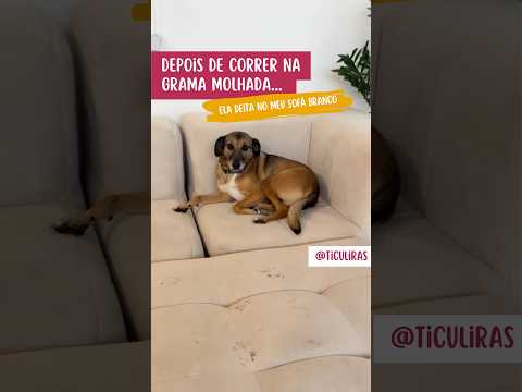 O Sofa Preferido dela é o Branco!!!