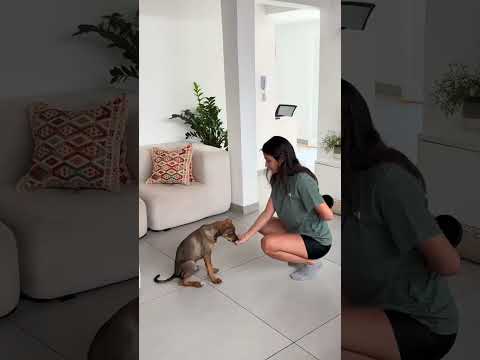 Aulas de Etiqueta com o Bafo de Leite