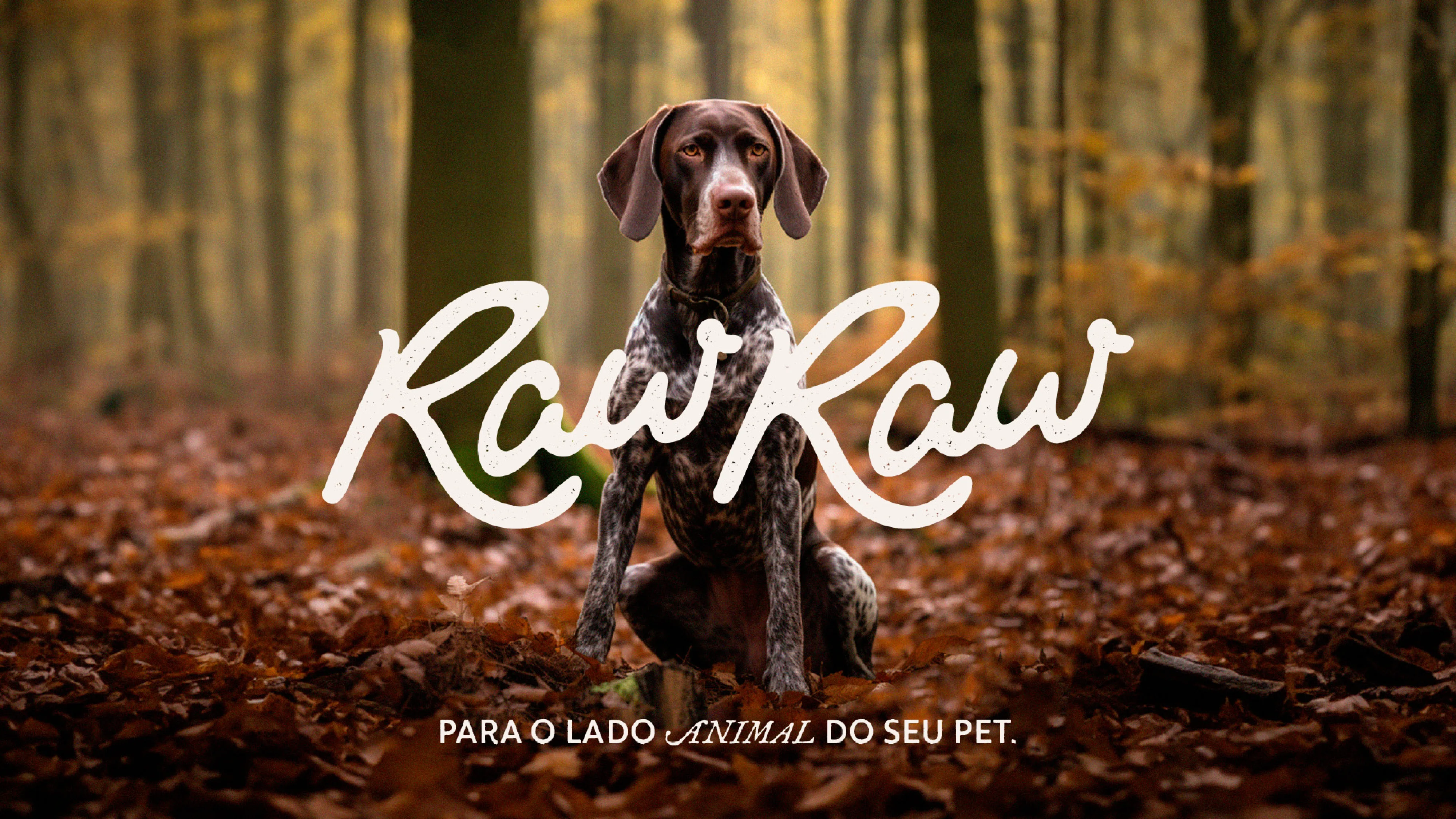 RawRaw Pet